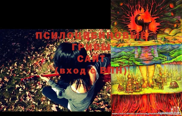 MDMA Premium VHQ Горнозаводск